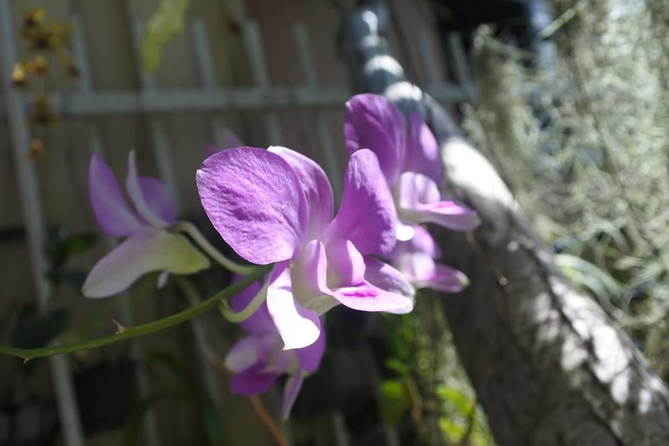 Baannueng@Kathu Hotel Phuket Exterior photo